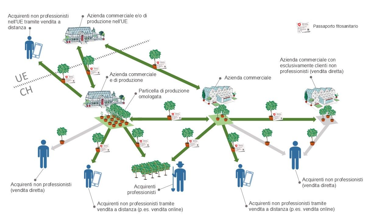 Campo di applicazione del passaporto fitosanitario.