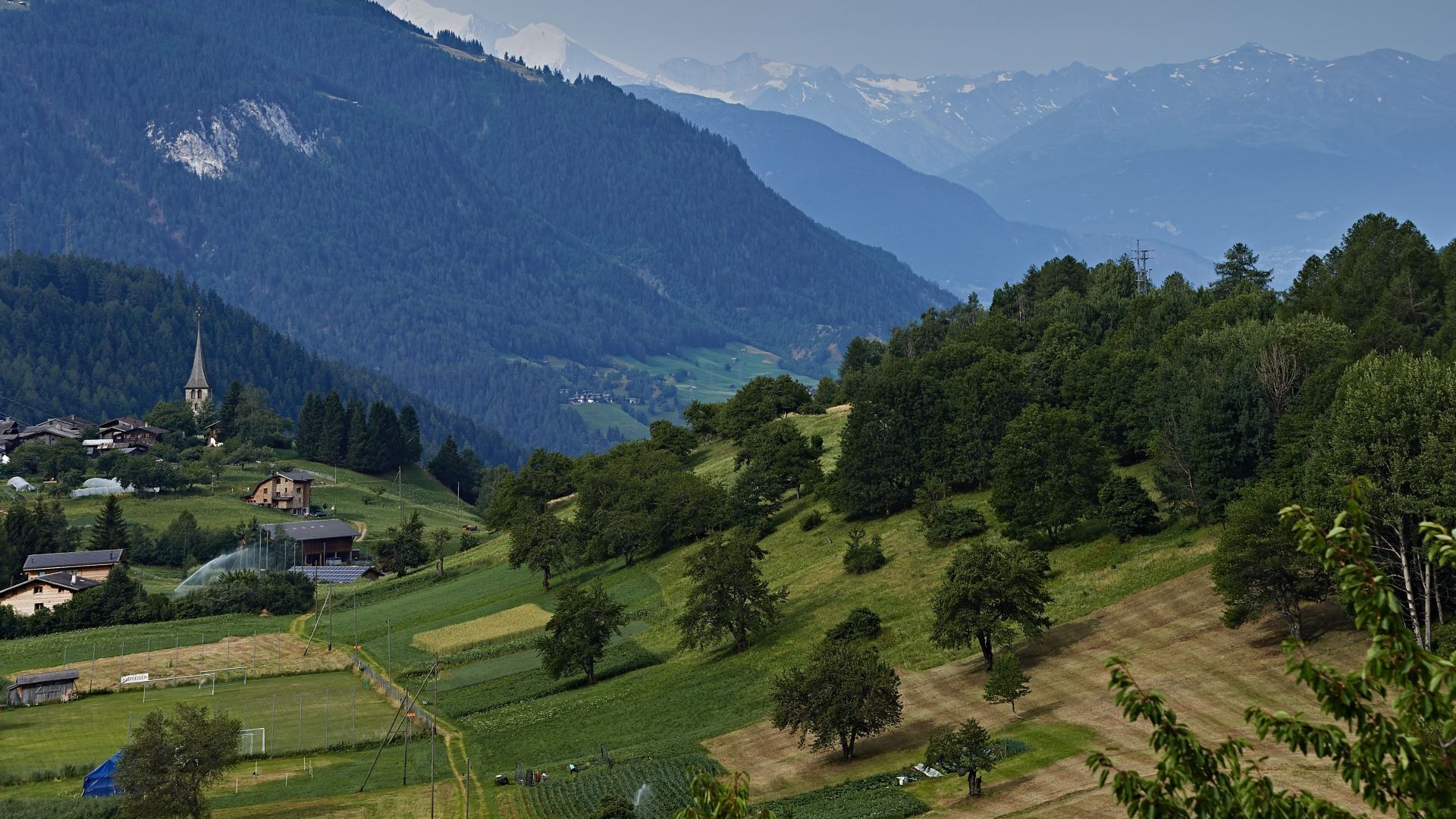 Paesaggio collinare con mosaico di campi coltivati, prati e alberi da frutto ad alto fusto.