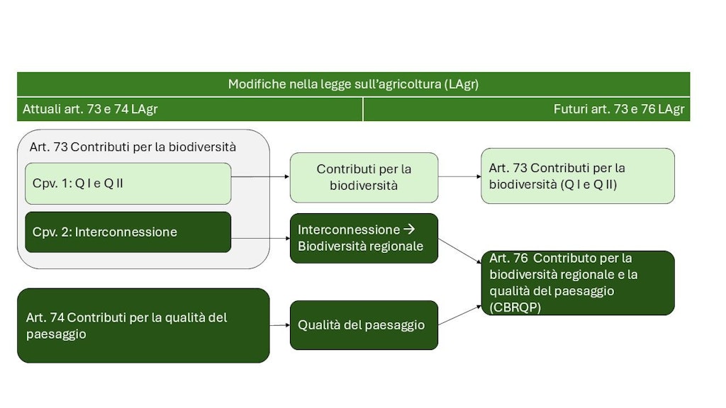 Con il CBRQP nasce un nuovo strumento di promozione (art. 76 LAgr) che sostituisce i contributi per l’interconnessione (art. 73 cpv. 2 LAgr) e la qualità del paesaggio (art. 74 LAgr). I contributi per la qualità del paesaggio (QI e QII) sono mantenuti conformemente all’articolo 73 LAgr. 