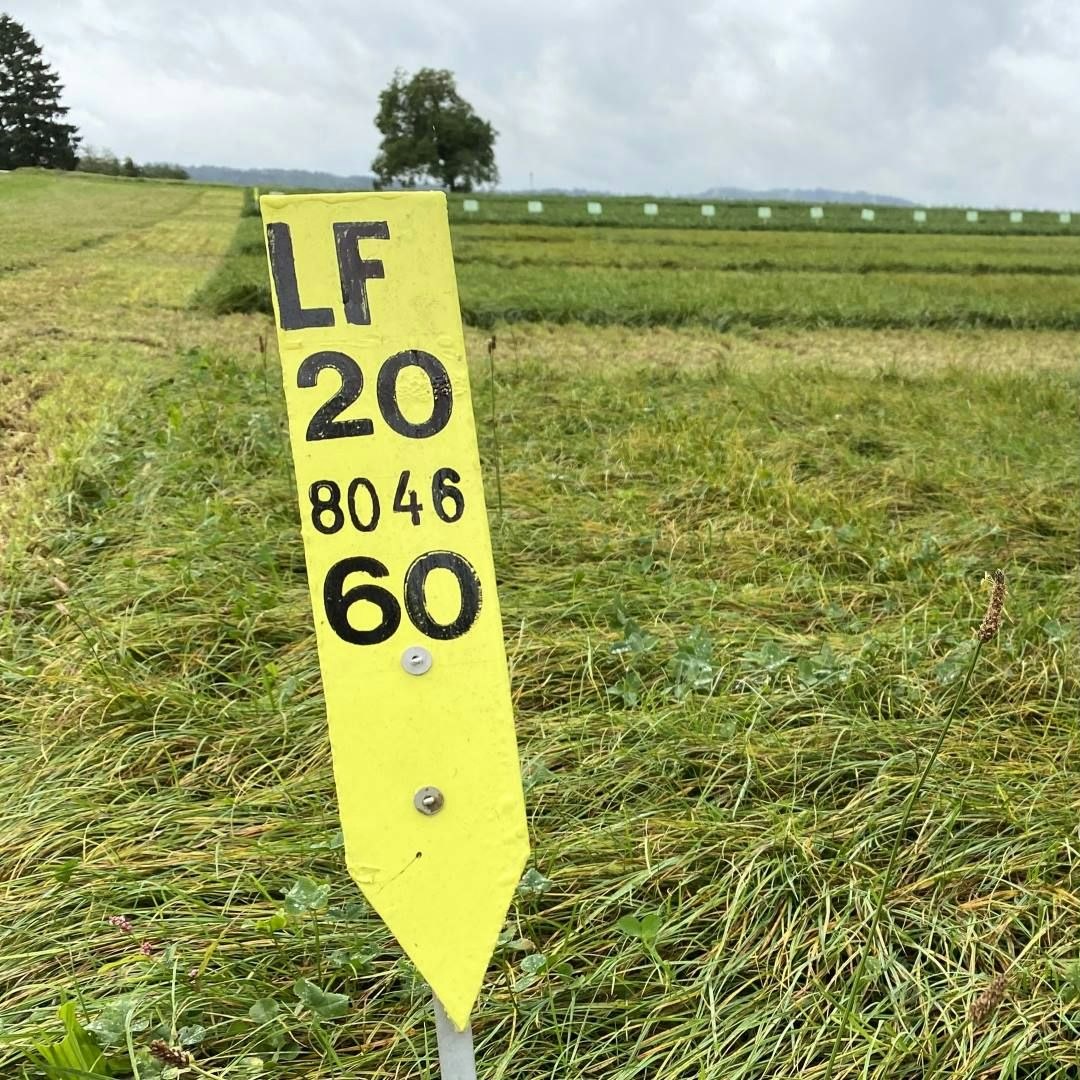 Prova in pieno campo con particelle di diverse varietà di piante foraggere. Cartello con la descrizione della varietà Arara.